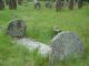 John Burrows Grave.jpg